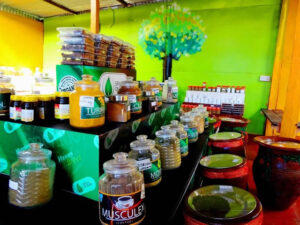 shop_ngong_big