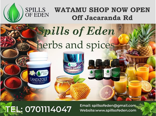 Watamu Shop